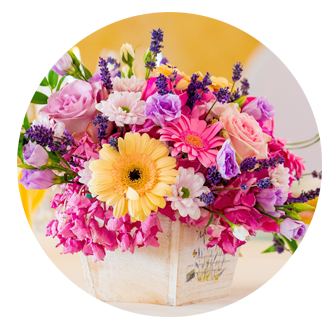 Birthday Flowers Enfield Town